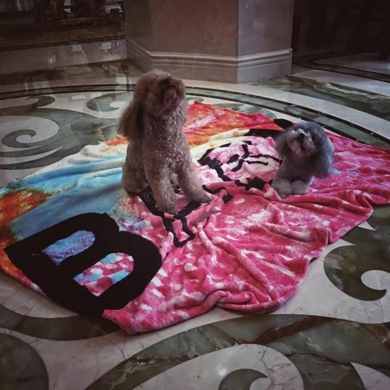 Super Soft Flannel Air conditioning Blanket Baby Gift Blankets Creative Trends With Package Bag